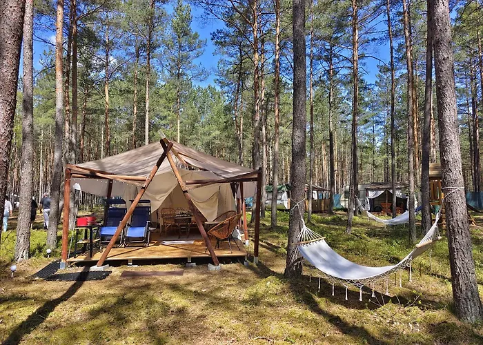 Zew Natury Broda Foto